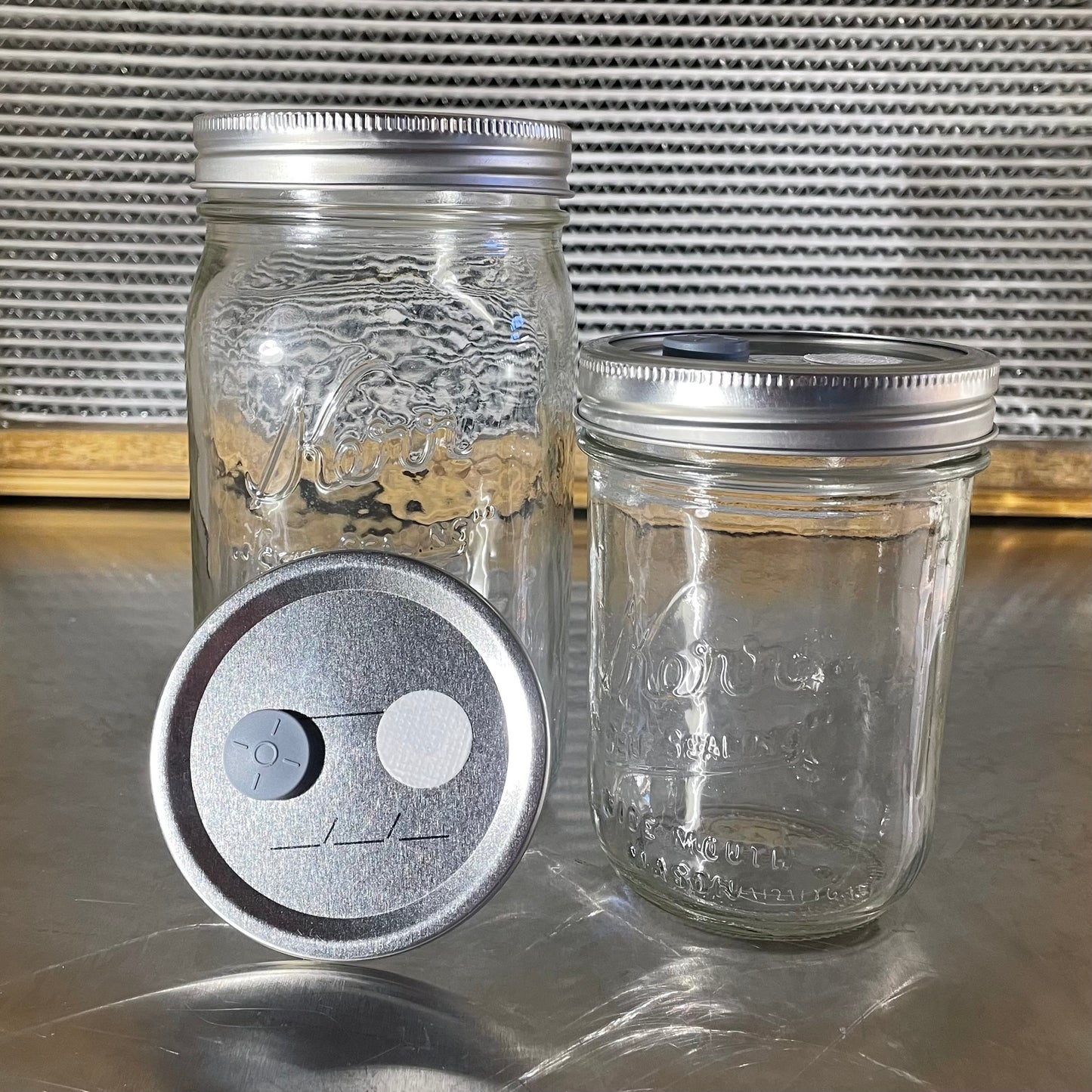 Modified Wide Mouth Jar Lid 6 ct.